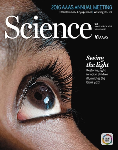 美国《科学》杂志 恢复视力照亮大脑(图)