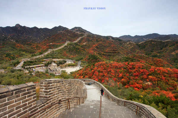 寻找北京最美的秋色:八达岭长城醉美秋色