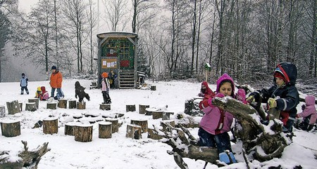 德国:大自然的教养-森林幼儿园的日常(多图)