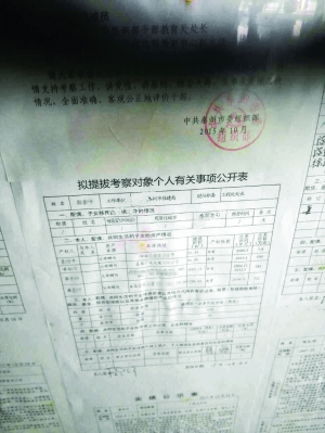 秦某某个人事项公开表显示，其4处房产总价超2000万 网友供图