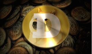 狗狗币，英文名Dogecoin，是一种基于Scrypt算法的小额数字货币，诞生于2013年12月8日，由澳大利亚品牌与市场营销专家Jackson Palmer和美国俄勒冈州波特兰市程序员Palmer共同开发，是目前国际上用户数仅次于比特币的第二大虚拟货币。