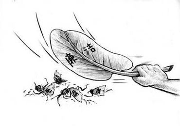 一只苍蝇一个绿果猜成语_苍蝇卡通图片(2)