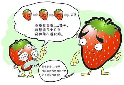 五六岁的小孩子不吃蔬菜怎么办?