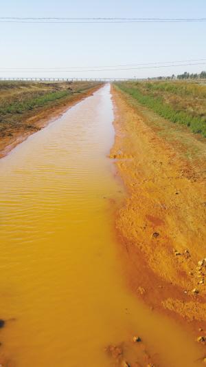 河北冀州境内多条河流会变色 水质检测严重超标