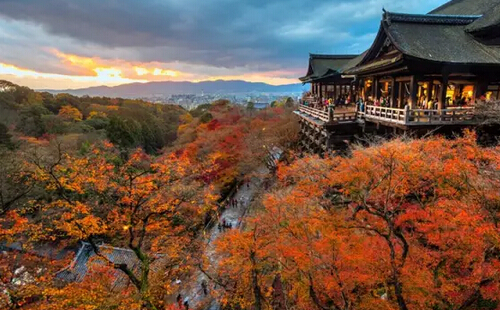 十大日本热门赏枫赏红叶旅游景点