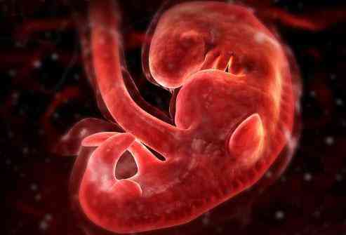图揭:胎儿怎样在母体内生长的