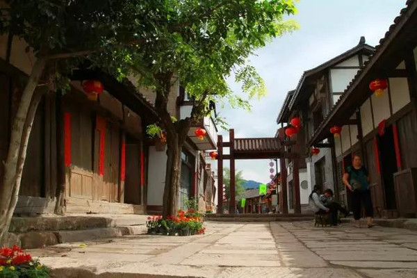 参天古树,小桥流水.步步是景,遵义土城古镇