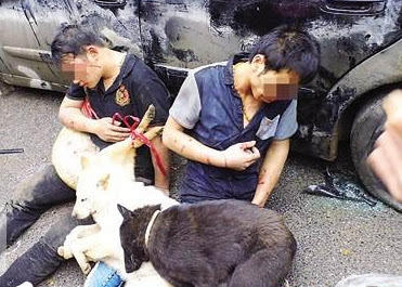 2男子偷狗被捉 村民将其捆绑挂死狗示众10小时_手机搜狐网