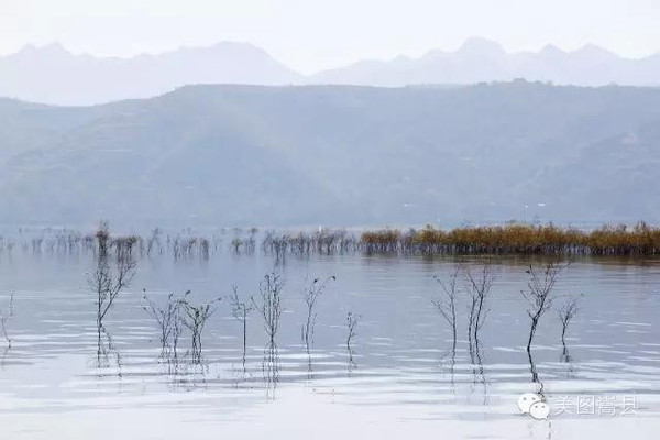 河南经济总量在黄河流域占_河南黄河流域图
