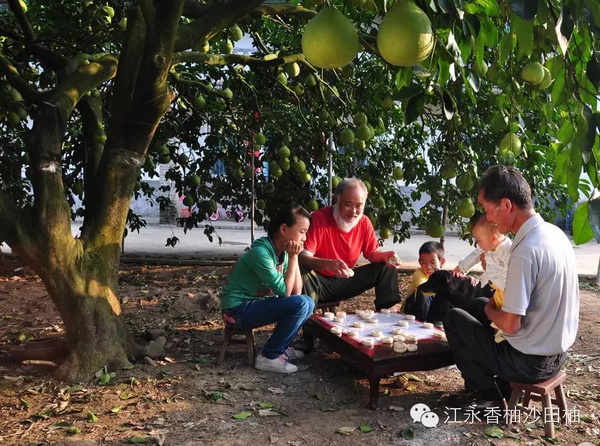 2015中国江永香柚节、盘王节暨湘南电商峰会