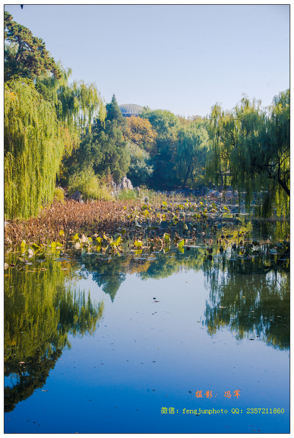 秋景"水木清华"之游