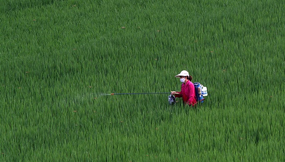 五部委强抓农村食品安全 2020年农药使用零增长