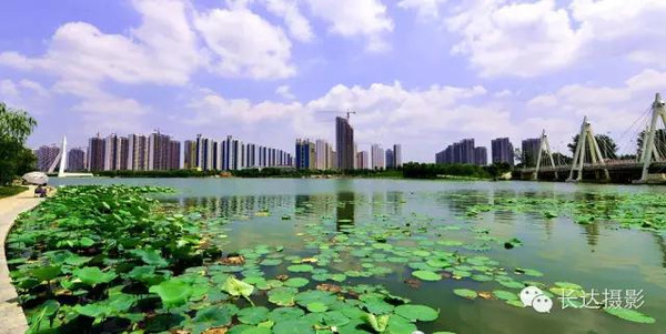 这些年,我们一起爱着的菏泽美景