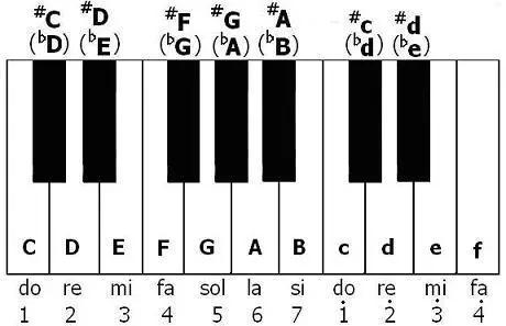 你知道钢琴键上有什么数学密码吗?