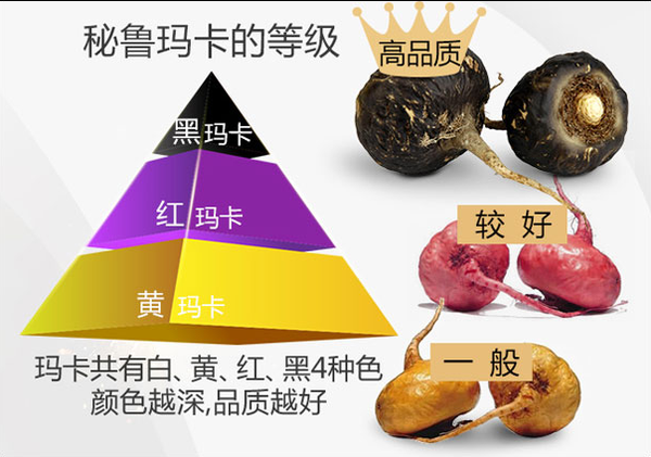 秘鲁黑玛卡(玛咖)揭秘营养功效