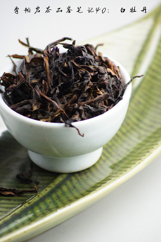 武夷白牡丹是武夷岩茶的奇种,产量稀少,远不如白茶白牡丹那般知名.