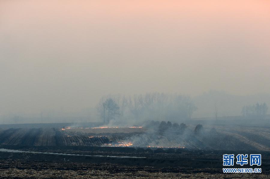 吉林部分地区仍有露天焚烧秸秆现象(组图),中国