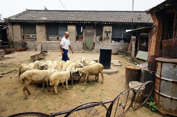 北京的中国传统村落顺义区龙湾屯镇焦庄户村