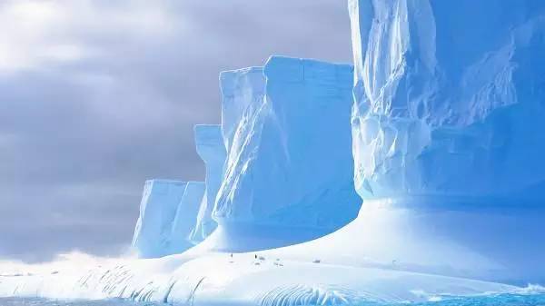 南极并非遥不可及,教你怎样开启南极旅行