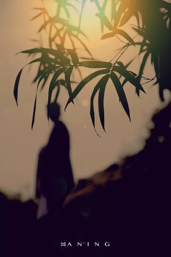 禁欲系,归去来