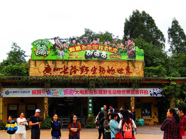 广州长隆动物园，珍稀动物的天堂-搜狐旅游