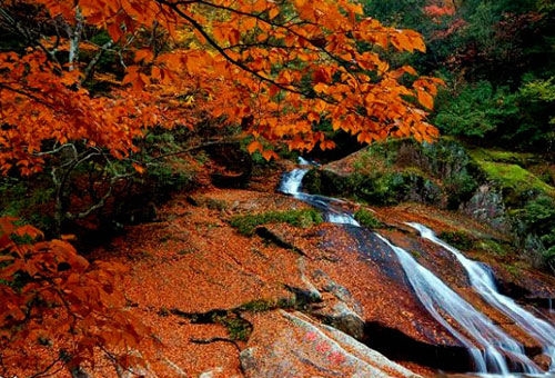 四川巴中光雾山