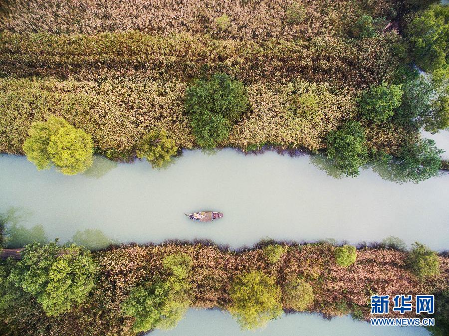 11月3日，空中俯瞰色彩缤纷的西溪湿地景色。新华社记者 徐昱