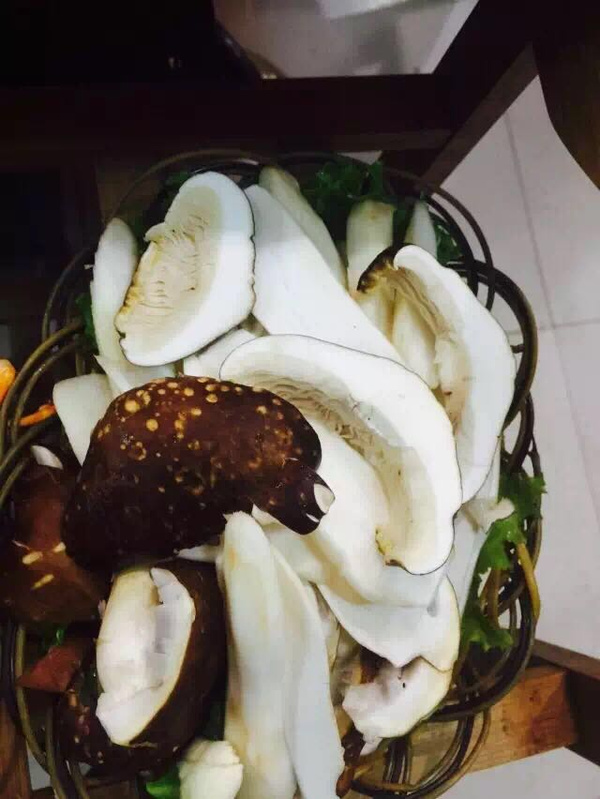 平价野生菌火锅——探店菌粹源