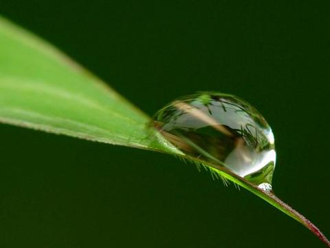 好水滋养万物? 分析净水器十大排名