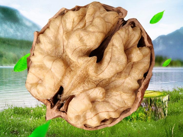 核桃仁的功效与作用