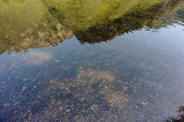 河水清清浅浅,山石树影,蓝天白云皆映其上,青苔卵石,游鱼水草尽收其中