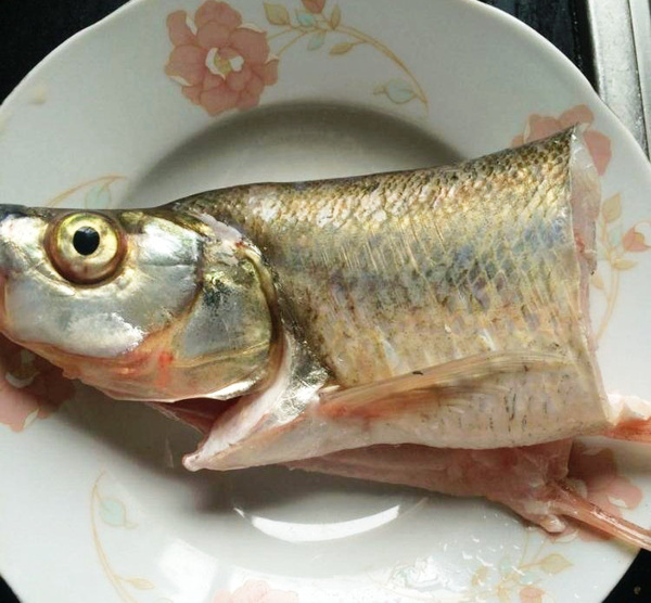 太湖美食-清蒸白鱼