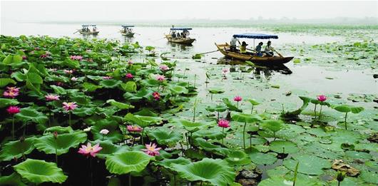 图为:国际重要湿地——沉湖   图为:国家级湿地公园——后官湖湿地