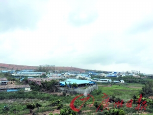 奥秘的土猪饲养基地。
