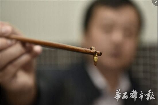 食客餐馆吃出虫蛹狂吐 服务员：就算是蛆也无害