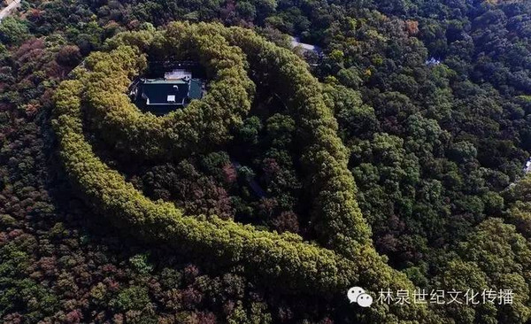 "最美项链"南京美龄宫,还有这些幕后故事