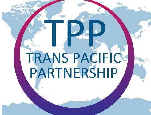 华源石化:简述TPP全文 --海关手续