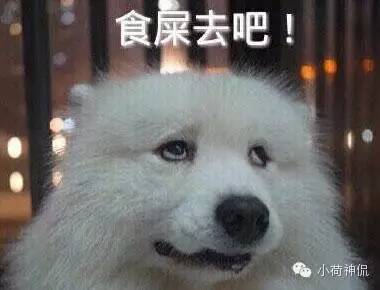 压力大就吸?灰原哀都变灰原衰【小荷神侃151110】