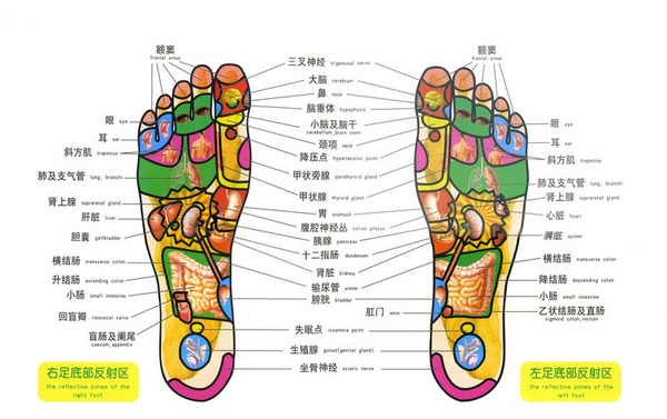 给"懒癌"患者的便秘解决方案