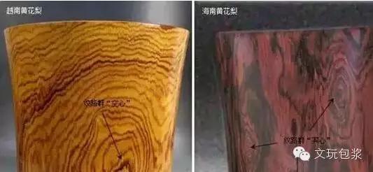 【文玩宝盘珠机】如何鉴别海南黄花梨与越南黄花梨