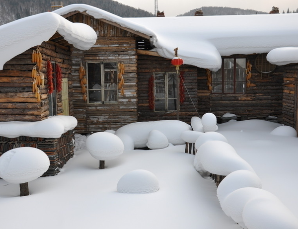 哈尔滨雪乡在哪_哈尔滨雪乡天气