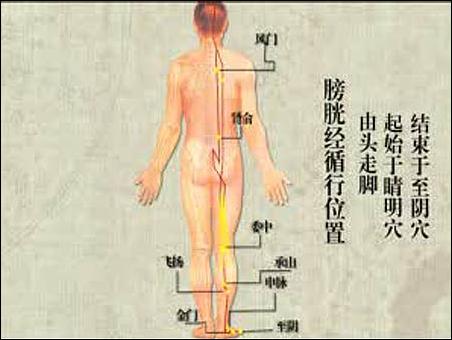 人体感觉最舒适的温度_休闲生活电脑桌面壁纸图片