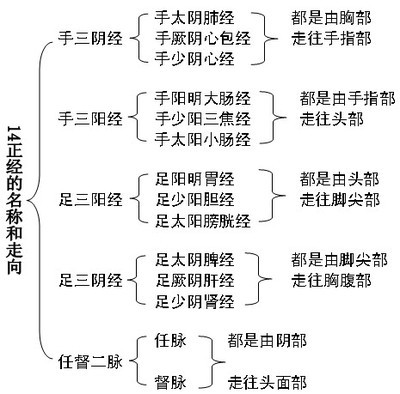 人体14经络名称