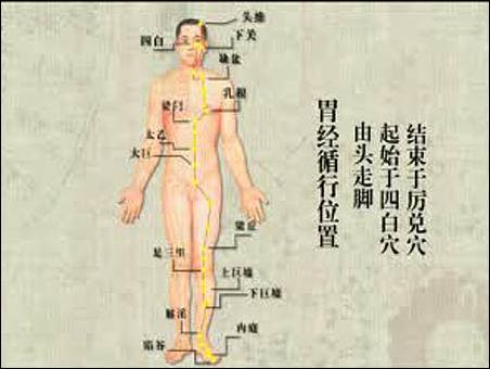 人体14经络名称