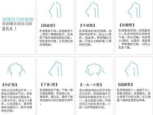 大家可以根据自己的胸型选择适合自己的内衣,内衣的基本种类如下