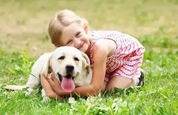 人和狗都是社交动物,接触其它狗狗对宠物有好处,可以带它去宠物公园玩