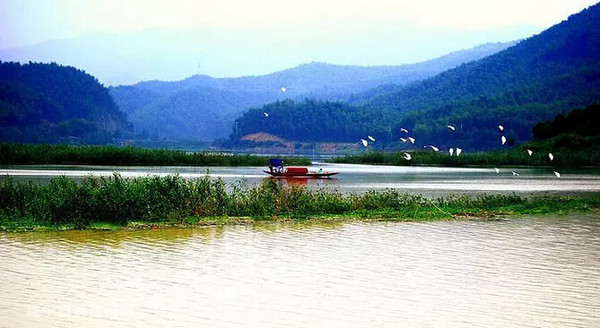 咸宁赤壁风情|陆水湖国家湿地公园