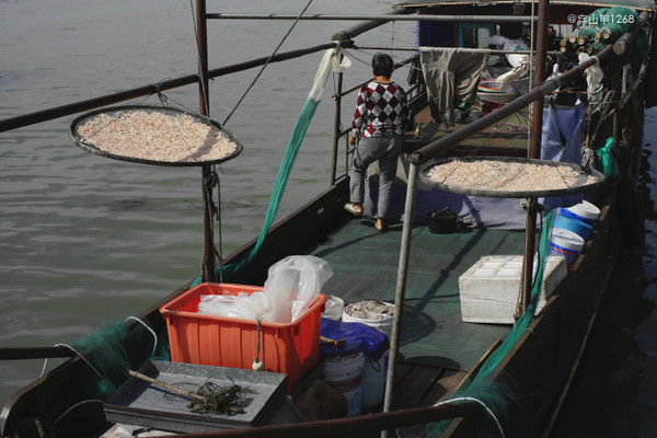 太湖渔民的普通生活纪实