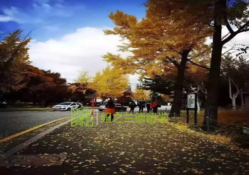 【韩国留学】韩国大学这么美,你还不去看看?