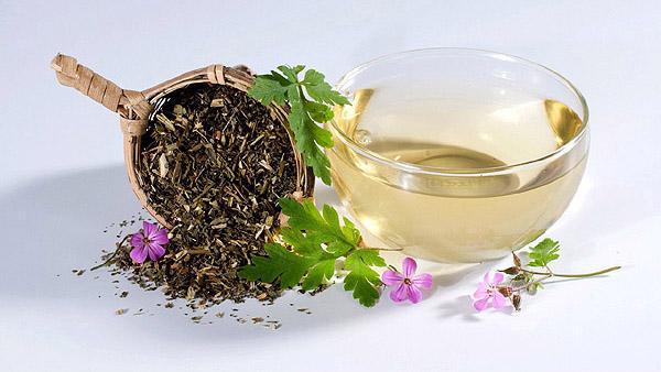 163企业邮箱注册申请百风菜茶叶能一起泡水喝吗?